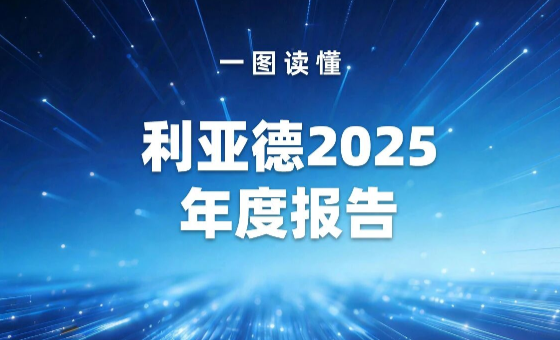一图读懂 | 爱游戏2025年度报告